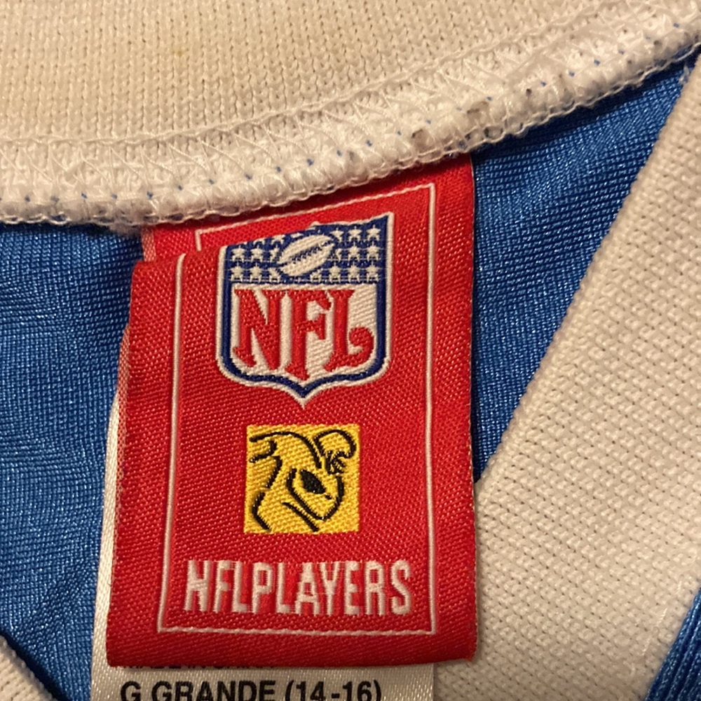 LaDainian Tomlinson unisex football jersey San Diego chargers KIDS LARGE JERSEY - Picture 2 of 9